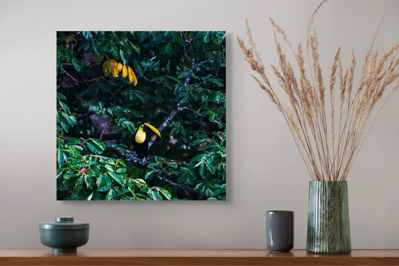 Tablou Canvas, "Tucan printre frunze de smarald", Verde, Frunziș, Tucan, Camuflaj, Natură, Exotic, Galben, Copac, Păsări, Frumusețe, 50 x 50 cm – poza 4