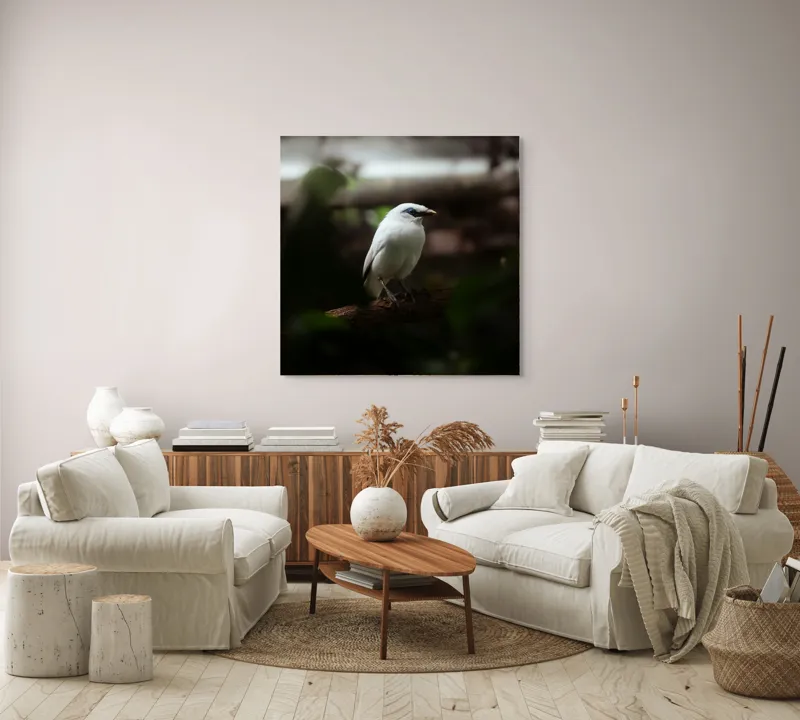 Tablou Canvas, "Pasăre albă în lumina pădurii", Pasăre, Ramură, Penaj, Alb, Ochi, Fundal, Verde, Natural., 100 x 100 cm – poza 3