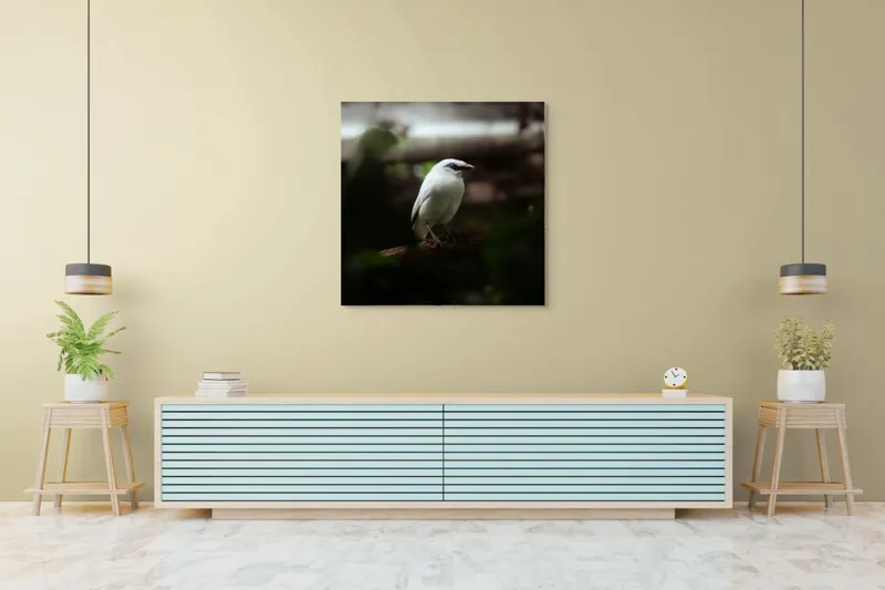 Tablou Canvas, "Pasăre albă în lumina pădurii", Pasăre, Ramură, Penaj, Alb, Ochi, Fundal, Verde, Natural., 100 x 100 cm – poza 5