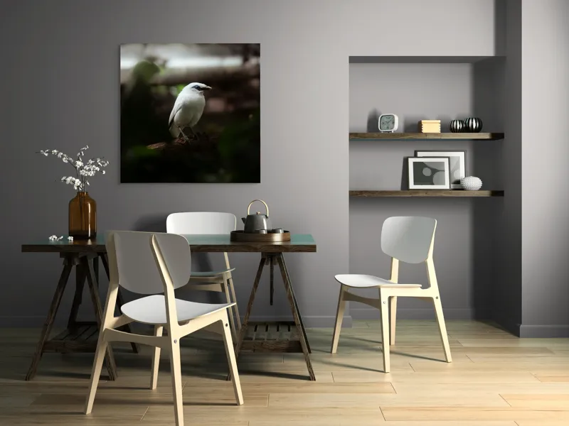 Tablou Canvas, "Pasăre albă în lumina pădurii", Pasăre, Ramură, Penaj, Alb, Ochi, Fundal, Verde, Natural., 100 x 100 cm – poza 6