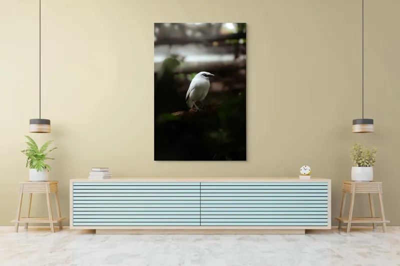 Tablou Canvas, "Pasăre albă în lumina pădurii", Pasăre, Ramură, Penaj, Alb, Ochi, Fundal, Verde, Natural., 100 x 150 cm – poza 4