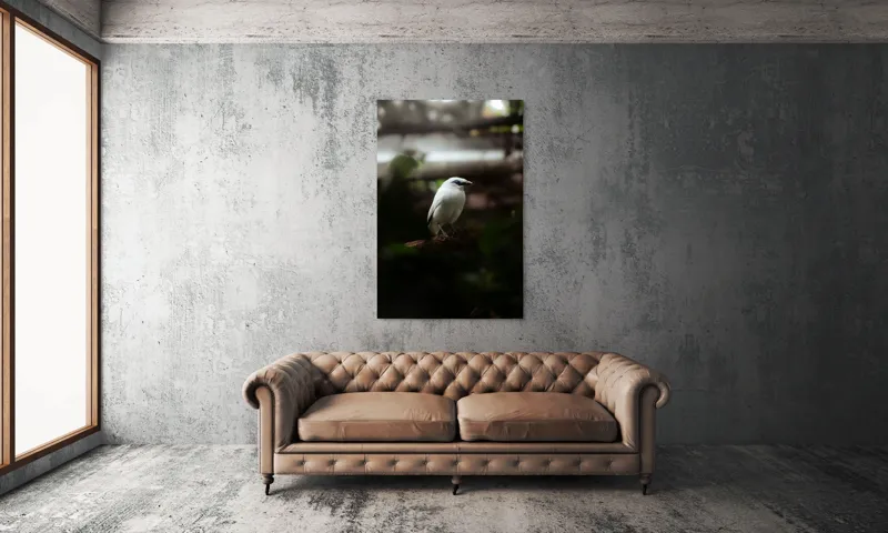 Tablou Canvas, "Pasăre albă în lumina pădurii", Pasăre, Ramură, Penaj, Alb, Ochi, Fundal, Verde, Natural., 100 x 150 cm – poza 6