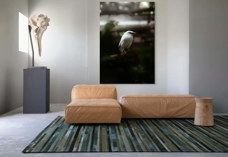 Tablou Canvas, "Pasăre albă în lumina pădurii", Pasăre, Ramură, Penaj, Alb, Ochi, Fundal, Verde, Natural., 100 x 150 cm – poza 7