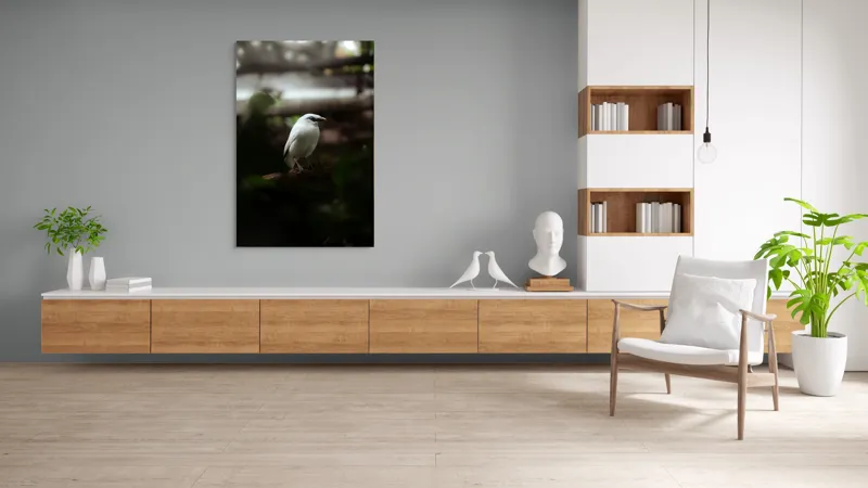 Tablou Canvas, "Pasăre albă în lumina pădurii", Pasăre, Ramură, Penaj, Alb, Ochi, Fundal, Verde, Natural., 100 x 150 cm – poza 8