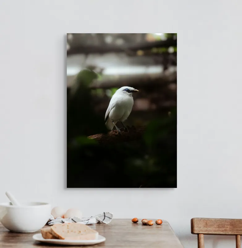 Tablou Canvas, "Pasăre albă în lumina pădurii", Pasăre, Ramură, Penaj, Alb, Ochi, Fundal, Verde, Natural., 50 x 70 cm – poza 3