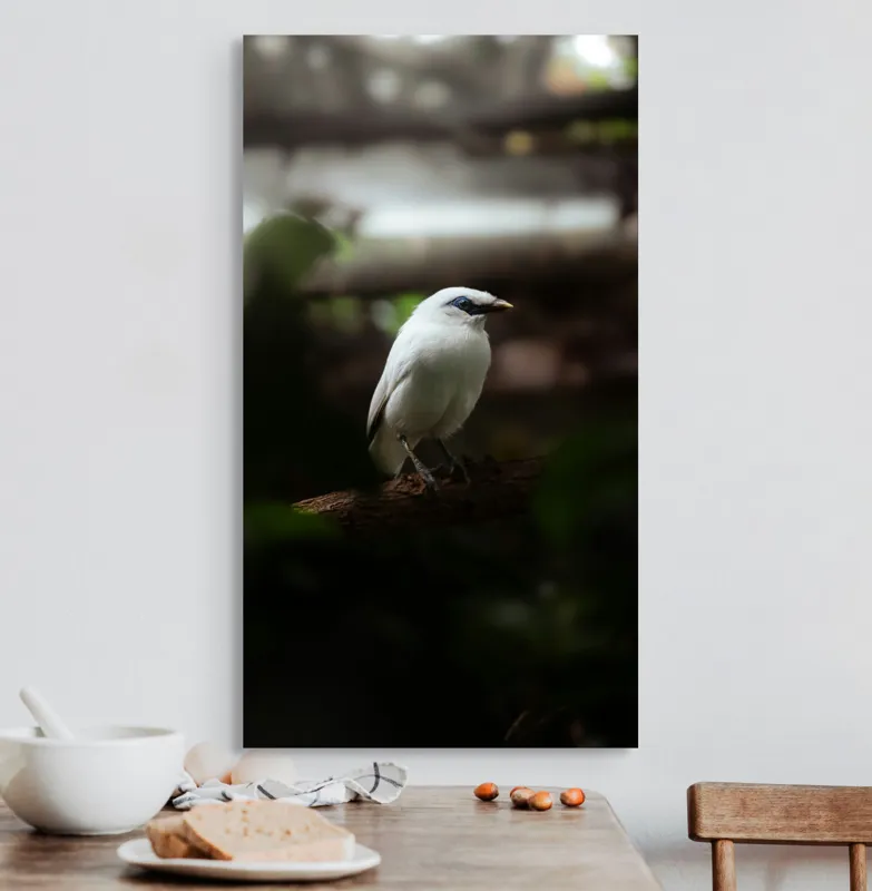 Tablou Canvas, "Pasăre albă în lumina pădurii", Pasăre, Ramură, Penaj, Alb, Ochi, Fundal, Verde, Natural., 50 x 90 cm – poza 3