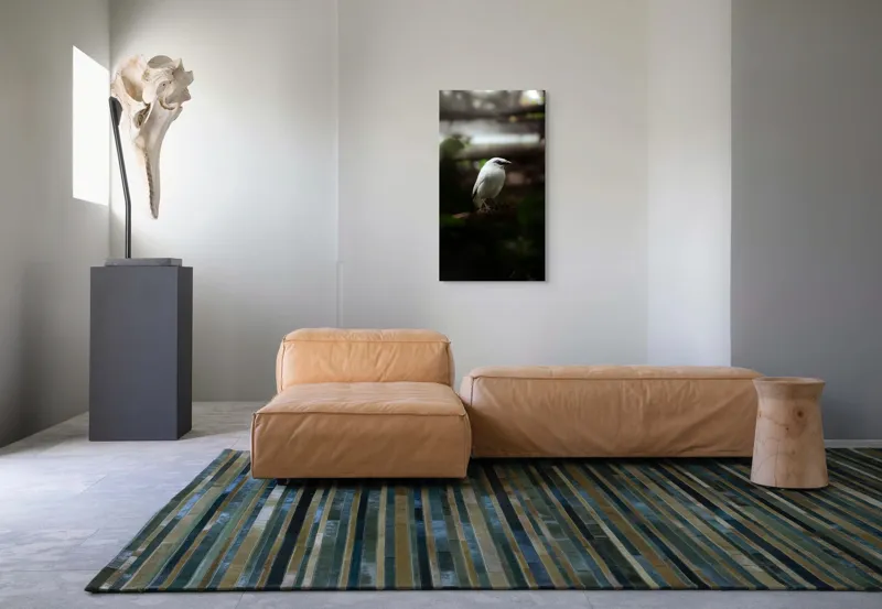 Tablou Canvas, "Pasăre albă în lumina pădurii", Pasăre, Ramură, Penaj, Alb, Ochi, Fundal, Verde, Natural., 50 x 90 cm – poza 5