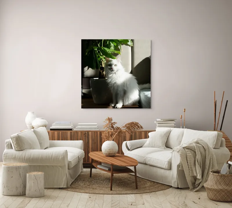 Tablou Canvas, "Pisica albă lângă planta verde", Pisică, Blană, Albă, Ghiveci, Plante, Lumină, Umbră, Mobilier, Perete, 100 x 100 cm – poza 3