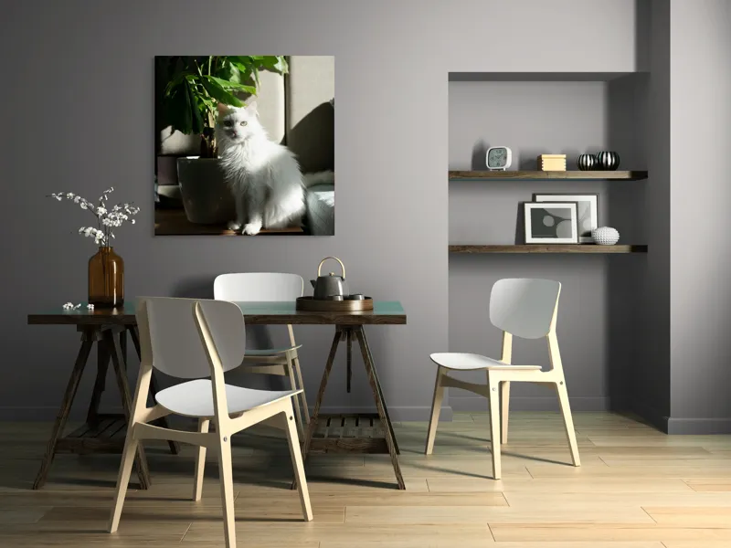 Tablou Canvas, "Pisica albă lângă planta verde", Pisică, Blană, Albă, Ghiveci, Plante, Lumină, Umbră, Mobilier, Perete, 100 x 100 cm – poza 6