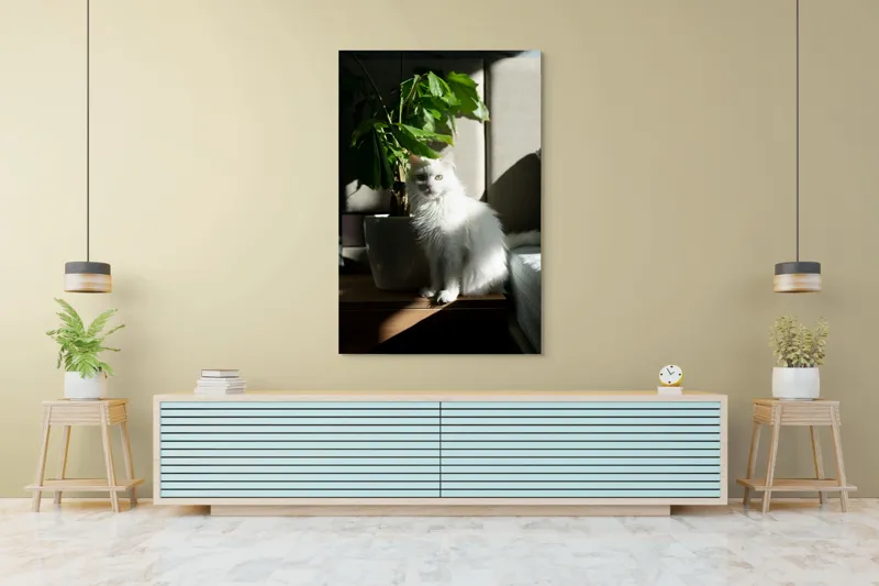 Tablou Canvas, "Pisica albă lângă planta verde", Pisică, Blană, Albă, Ghiveci, Plante, Lumină, Umbră, Mobilier, Perete, 100 x 150 cm – poza 4