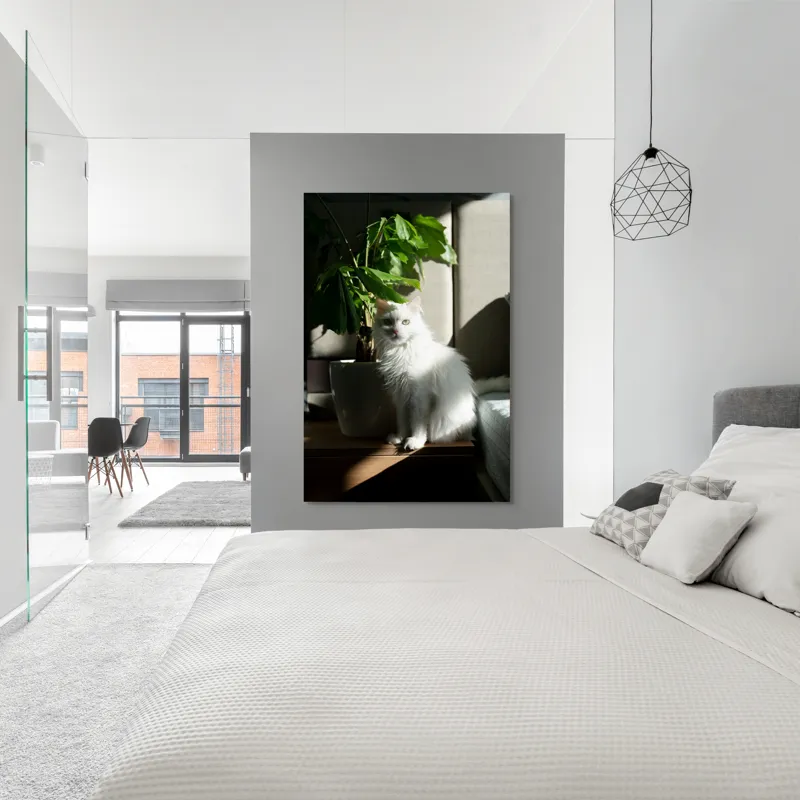Tablou Canvas, "Pisica albă lângă planta verde", Pisică, Blană, Albă, Ghiveci, Plante, Lumină, Umbră, Mobilier, Perete, 100 x 150 cm – poza 5