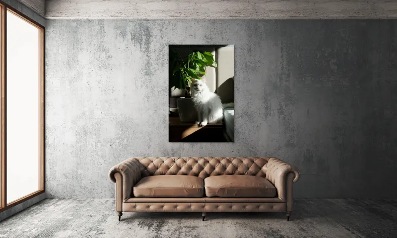 Tablou Canvas, "Pisica albă lângă planta verde", Pisică, Blană, Albă, Ghiveci, Plante, Lumină, Umbră, Mobilier, Perete, 100 x 150 cm – poza 6