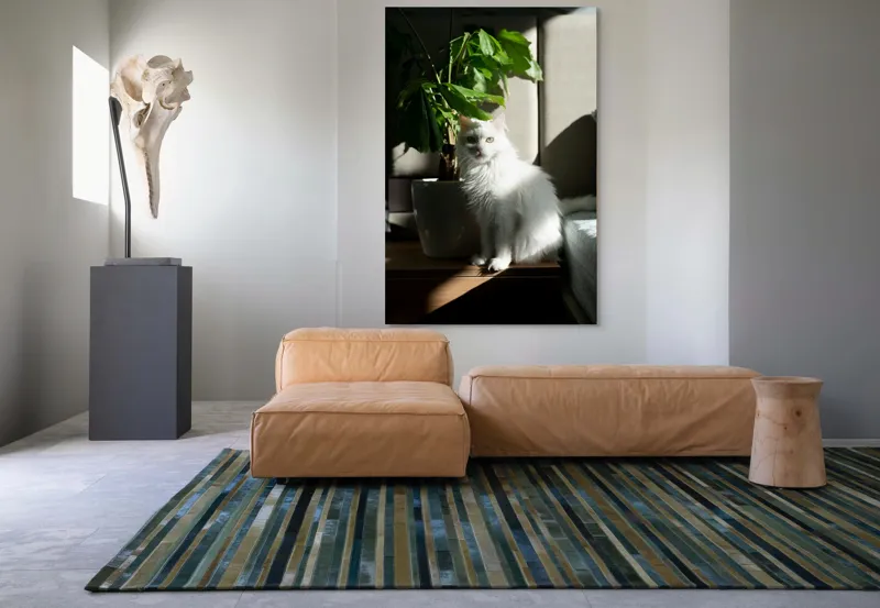 Tablou Canvas, "Pisica albă lângă planta verde", Pisică, Blană, Albă, Ghiveci, Plante, Lumină, Umbră, Mobilier, Perete, 100 x 150 cm – poza 7