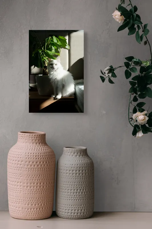 Tablou Canvas, "Pisica albă lângă planta verde", Pisică, Blană, Albă, Ghiveci, Plante, Lumină, Umbră, Mobilier, Perete, 26 x 39 cm – poza 6