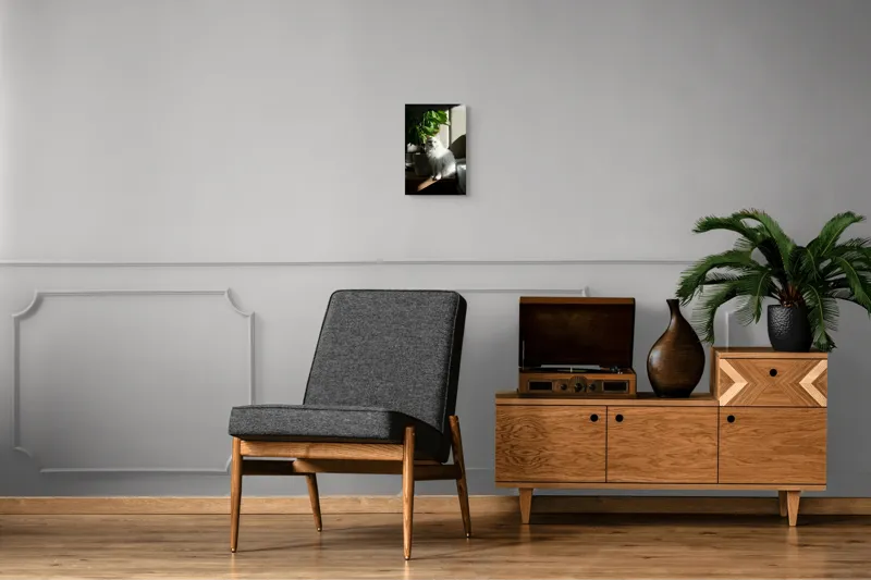 Tablou Canvas, "Pisica albă lângă planta verde", Pisică, Blană, Albă, Ghiveci, Plante, Lumină, Umbră, Mobilier, Perete, 26 x 39 cm – poza 8