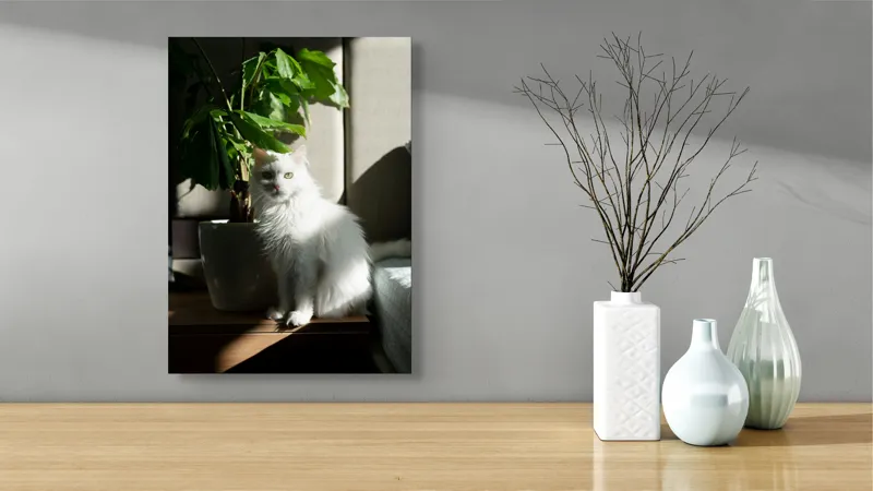 Tablou Canvas, "Pisica albă lângă planta verde", Pisică, Blană, Albă, Ghiveci, Plante, Lumină, Umbră, Mobilier, Perete, 39 x 54 cm – poza 4