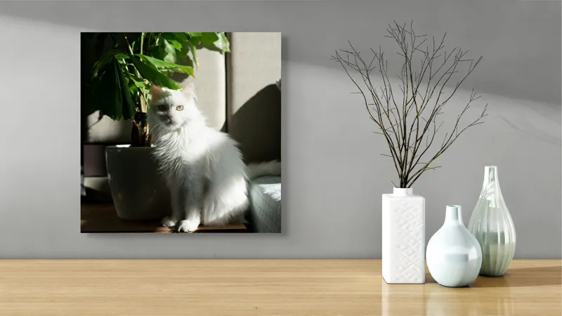 Tablou Canvas, "Pisica albă lângă planta verde", Pisică, Blană, Albă, Ghiveci, Plante, Lumină, Umbră, Mobilier, Perete, 50 x 50 cm – poza 3