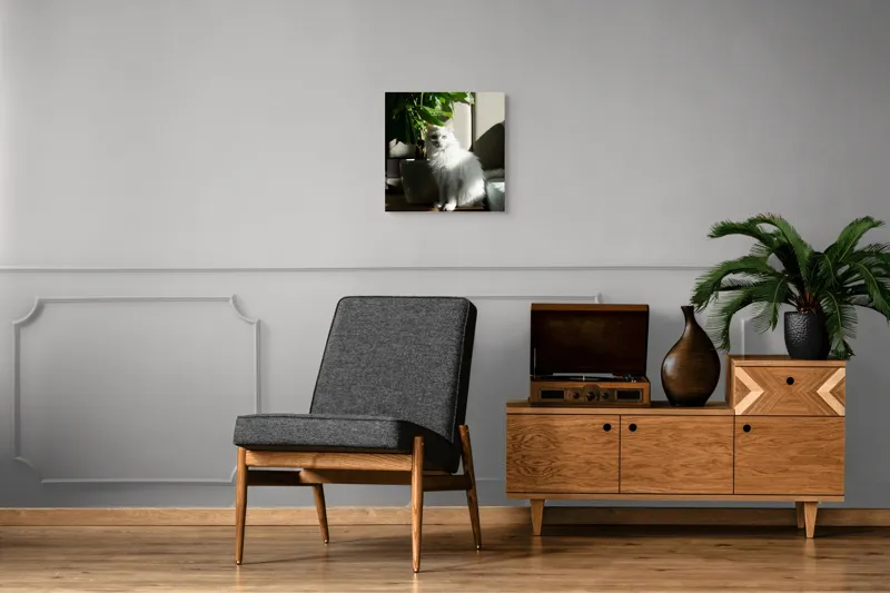 Tablou Canvas, "Pisica albă lângă planta verde", Pisică, Blană, Albă, Ghiveci, Plante, Lumină, Umbră, Mobilier, Perete, 50 x 50 cm – poza 6