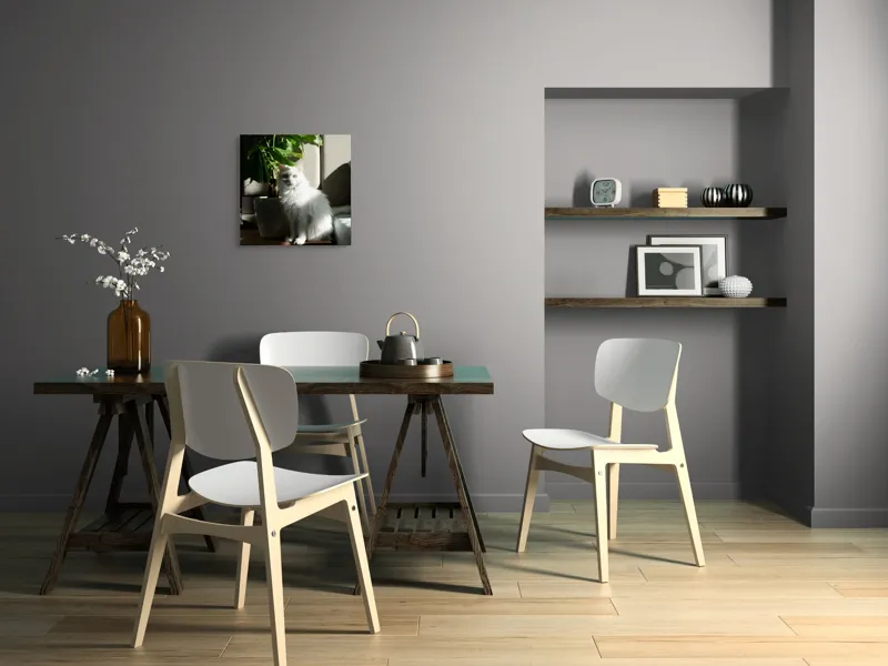 Tablou Canvas, "Pisica albă lângă planta verde", Pisică, Blană, Albă, Ghiveci, Plante, Lumină, Umbră, Mobilier, Perete, 50 x 50 cm – poza 8