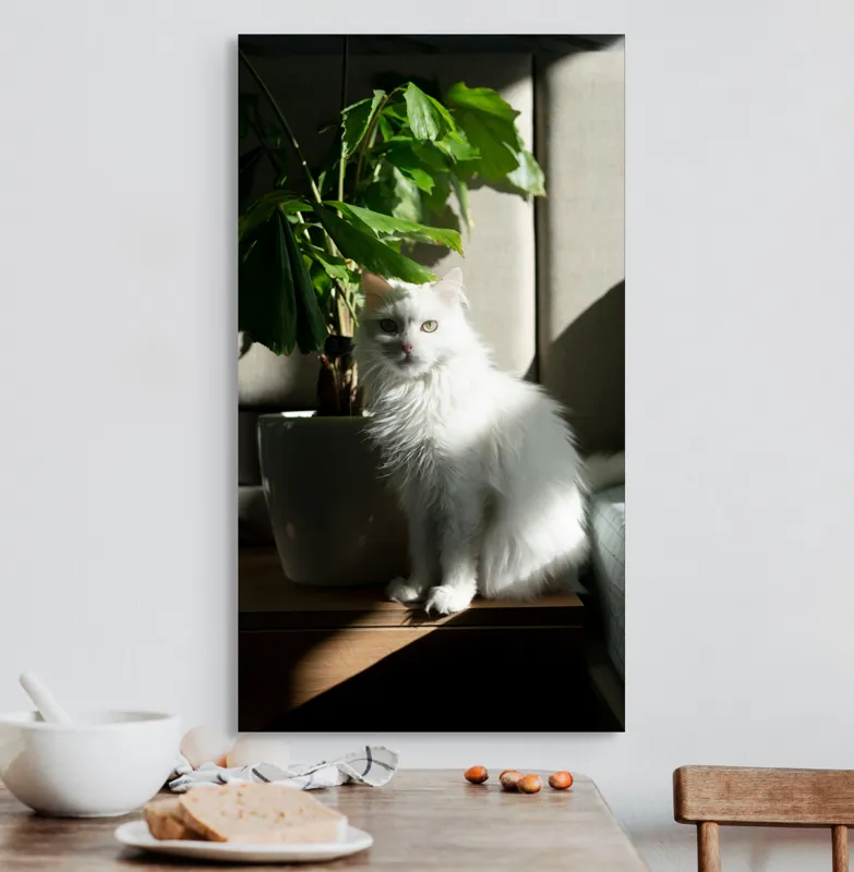 Tablou Canvas, "Pisica albă lângă planta verde", Pisică, Blană, Albă, Ghiveci, Plante, Lumină, Umbră, Mobilier, Perete, 50 x 90 cm – poza 3