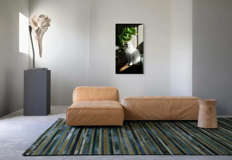 Tablou Canvas, "Pisica albă lângă planta verde", Pisică, Blană, Albă, Ghiveci, Plante, Lumină, Umbră, Mobilier, Perete, 50 x 90 cm – poza 5