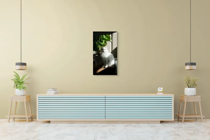 Tablou Canvas, "Pisica albă lângă planta verde", Pisică, Blană, Albă, Ghiveci, Plante, Lumină, Umbră, Mobilier, Perete, 50 x 90 cm – poza 6