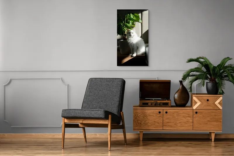 Tablou Canvas, "Pisica albă lângă planta verde", Pisică, Blană, Albă, Ghiveci, Plante, Lumină, Umbră, Mobilier, Perete, 50 x 90 cm – poza 8