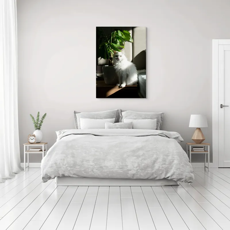 Tablou Canvas, "Pisica albă lângă planta verde", Pisică, Blană, Albă, Ghiveci, Plante, Lumină, Umbră, Mobilier, Perete, 70 x 100 cm – poza 3