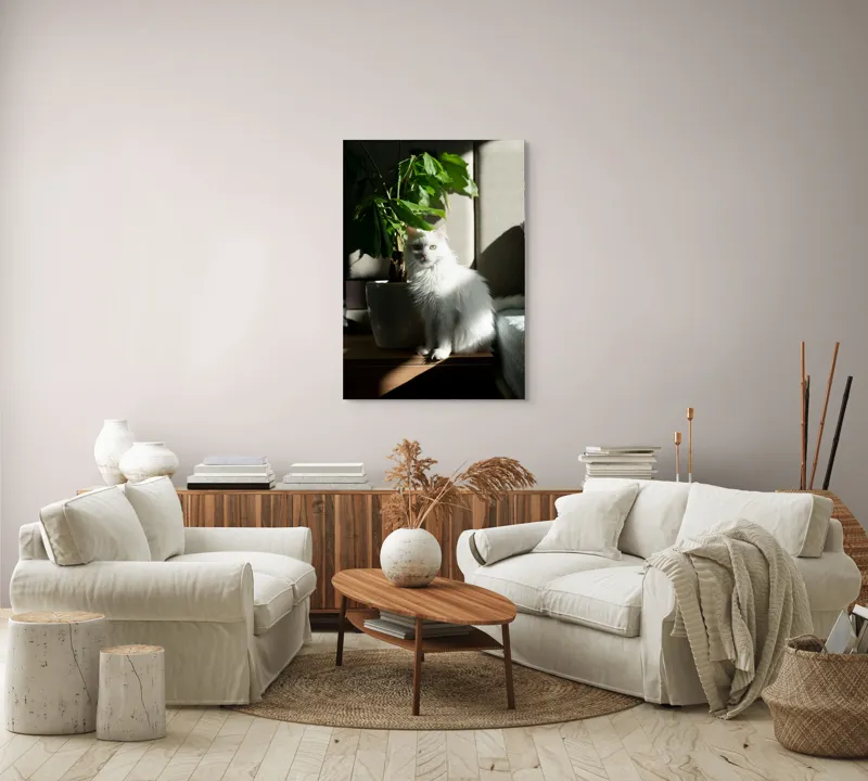 Tablou Canvas, "Pisica albă lângă planta verde", Pisică, Blană, Albă, Ghiveci, Plante, Lumină, Umbră, Mobilier, Perete, 70 x 100 cm – poza 4