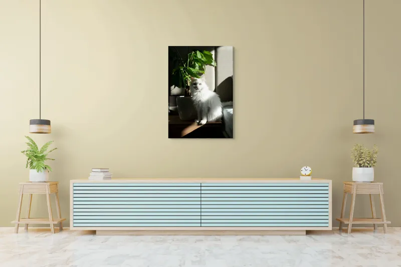 Tablou Canvas, "Pisica albă lângă planta verde", Pisică, Blană, Albă, Ghiveci, Plante, Lumină, Umbră, Mobilier, Perete, 70 x 100 cm – poza 5