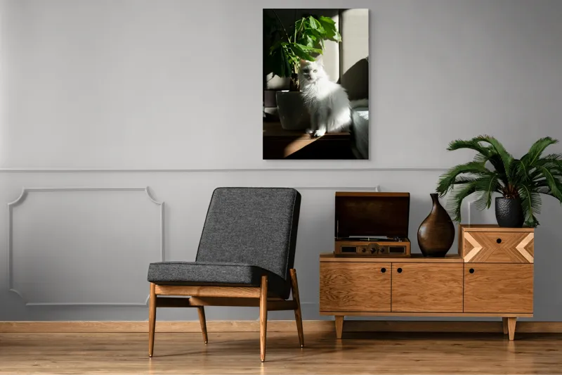 Tablou Canvas, "Pisica albă lângă planta verde", Pisică, Blană, Albă, Ghiveci, Plante, Lumină, Umbră, Mobilier, Perete, 70 x 100 cm – poza 6