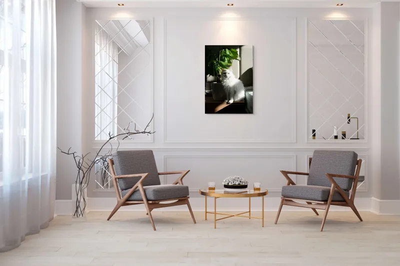 Tablou Canvas, "Pisica albă lângă planta verde", Pisică, Blană, Albă, Ghiveci, Plante, Lumină, Umbră, Mobilier, Perete, 70 x 100 cm – poza 8
