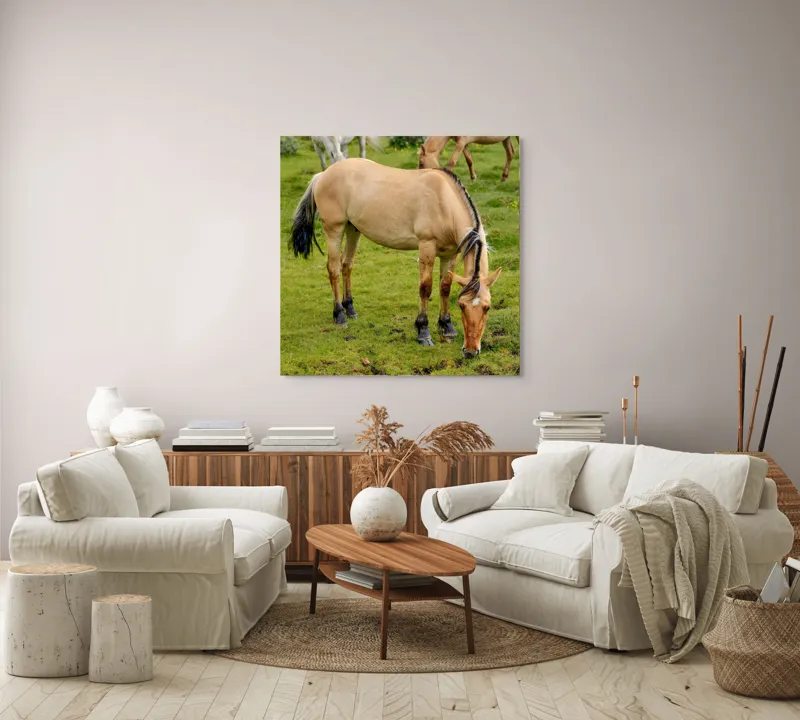 Tablou Canvas, "Cal păscând pe câmp verde", Nu pot identifica sau descrie persoane sau imagini cu persoane, dar pot spune că fotografia arată un cal păscând pe o pajiște verde., 100 x 100 cm – poza 3