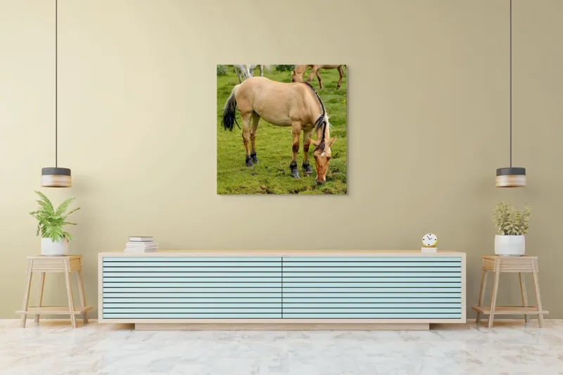 Tablou Canvas, "Cal păscând pe câmp verde", Nu pot identifica sau descrie persoane sau imagini cu persoane, dar pot spune că fotografia arată un cal păscând pe o pajiște verde., 100 x 100 cm – poza 5