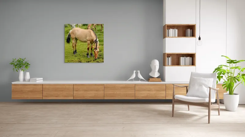 Tablou Canvas, "Cal păscând pe câmp verde", Nu pot identifica sau descrie persoane sau imagini cu persoane, dar pot spune că fotografia arată un cal păscând pe o pajiște verde., 100 x 100 cm – poza 8