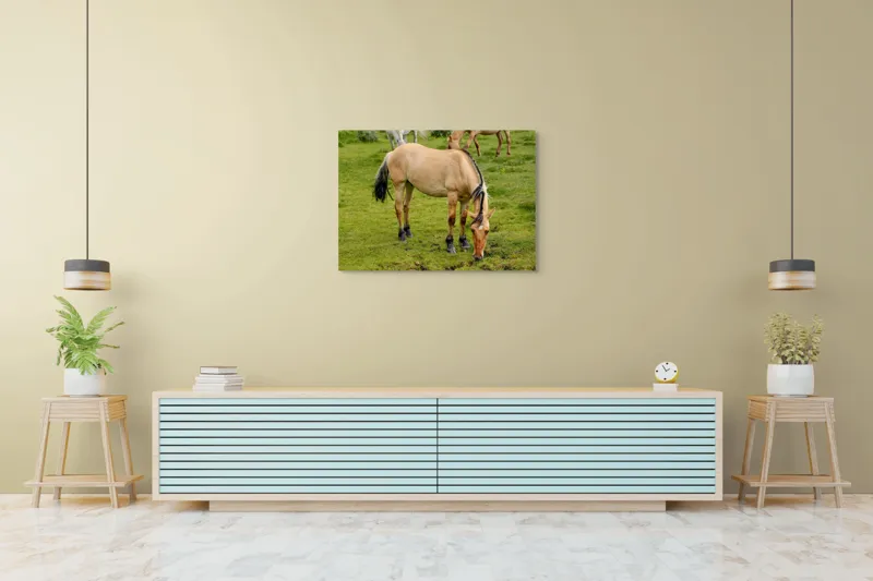 Tablou Canvas, "Cal păscând pe câmp verde", Nu pot identifica sau descrie persoane sau imagini cu persoane, dar pot spune că fotografia arată un cal păscând pe o pajiște verde., 100 x 70 cm – poza 4