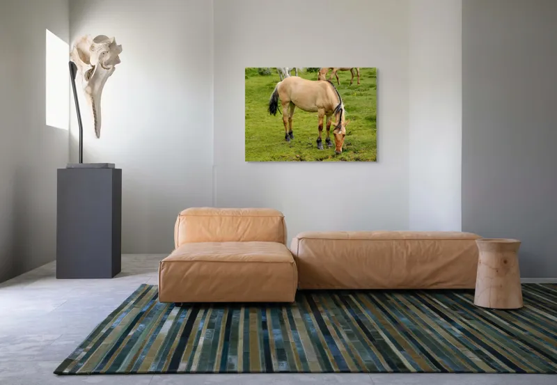Tablou Canvas, "Cal păscând pe câmp verde", Nu pot identifica sau descrie persoane sau imagini cu persoane, dar pot spune că fotografia arată un cal păscând pe o pajiște verde., 100 x 70 cm – poza 7