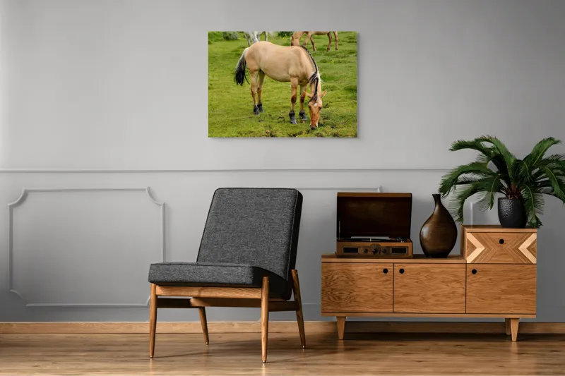 Tablou Canvas, "Cal păscând pe câmp verde", Nu pot identifica sau descrie persoane sau imagini cu persoane, dar pot spune că fotografia arată un cal păscând pe o pajiște verde., 100 x 70 cm – poza 8