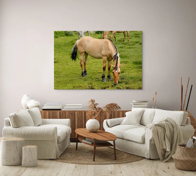 Tablou Canvas, "Cal păscând pe câmp verde", Nu pot identifica sau descrie persoane sau imagini cu persoane, dar pot spune că fotografia arată un cal păscând pe o pajiște verde., 150 x 100 cm – poza 3