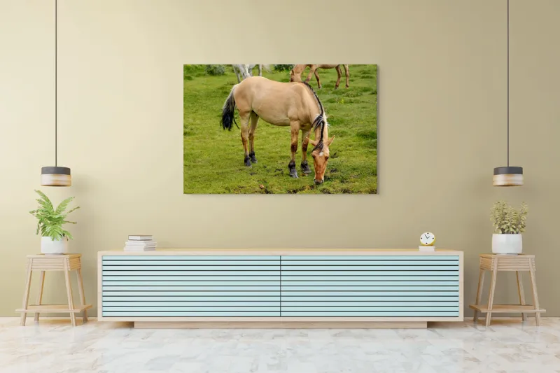 Tablou Canvas, "Cal păscând pe câmp verde", Nu pot identifica sau descrie persoane sau imagini cu persoane, dar pot spune că fotografia arată un cal păscând pe o pajiște verde., 150 x 100 cm – poza 6