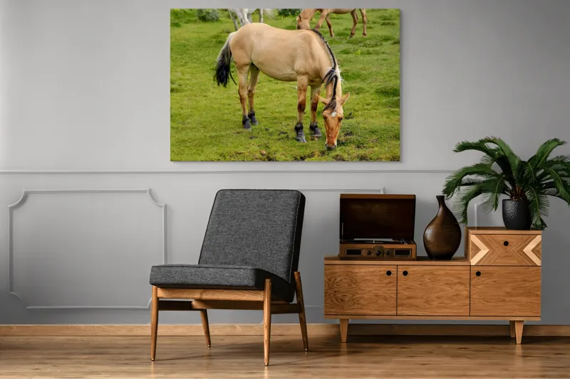 Tablou Canvas, "Cal păscând pe câmp verde", Nu pot identifica sau descrie persoane sau imagini cu persoane, dar pot spune că fotografia arată un cal păscând pe o pajiște verde., 150 x 100 cm – poza 8