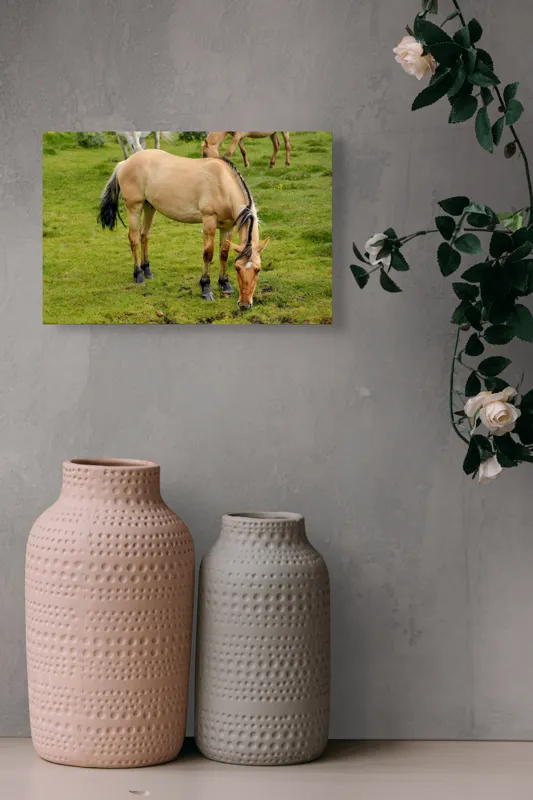 Tablou Canvas, "Cal păscând pe câmp verde", Nu pot identifica sau descrie persoane sau imagini cu persoane, dar pot spune că fotografia arată un cal păscând pe o pajiște verde., 39 x 26 cm – poza 4