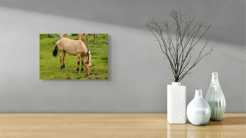 Tablou Canvas, "Cal păscând pe câmp verde", Nu pot identifica sau descrie persoane sau imagini cu persoane, dar pot spune că fotografia arată un cal păscând pe o pajiște verde., 39 x 26 cm – poza 8