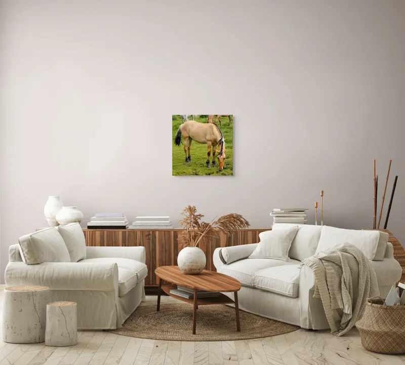 Tablou Canvas, "Cal păscând pe câmp verde", 50 x 50 cm – poza 7