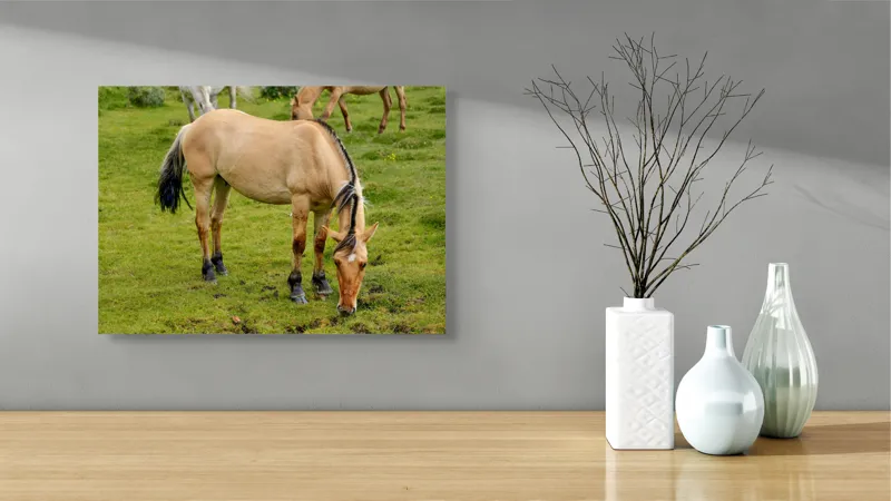 Tablou Canvas, "Cal păscând pe câmp verde", Nu pot identifica sau descrie persoane sau imagini cu persoane, dar pot spune că fotografia arată un cal păscând pe o pajiște verde., 54 x 39 cm – poza 3