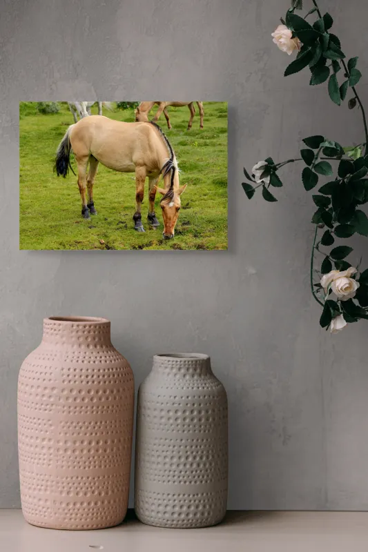 Tablou Canvas, "Cal păscând pe câmp verde", Nu pot identifica sau descrie persoane sau imagini cu persoane, dar pot spune că fotografia arată un cal păscând pe o pajiște verde., 54 x 39 cm – poza 8
