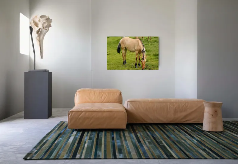 Tablou Canvas, "Cal păscând pe câmp verde", 90 x 50 cm – poza 8