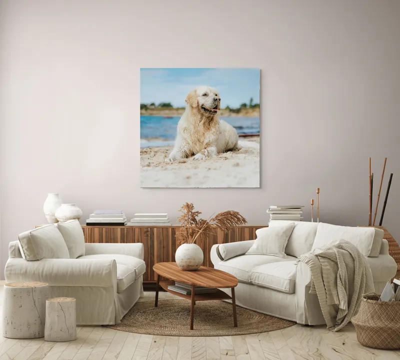 Tablou Canvas, "Câine fericit pe plaja însorită", Loial, Blănos, Relaxat, Plajă, Câine, Curat, Liniște, Peisaj, Vară, Albastru, 100 x 100 cm – poza 3