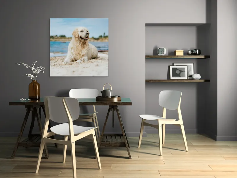 Tablou Canvas, "Câine fericit pe plaja însorită", Loial, Blănos, Relaxat, Plajă, Câine, Curat, Liniște, Peisaj, Vară, Albastru, 100 x 100 cm – poza 6