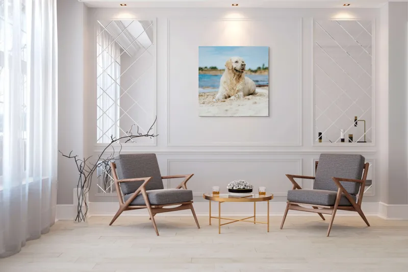 Tablou Canvas, "Câine fericit pe plaja însorită", Loial, Blănos, Relaxat, Plajă, Câine, Curat, Liniște, Peisaj, Vară, Albastru, 100 x 100 cm – poza 7